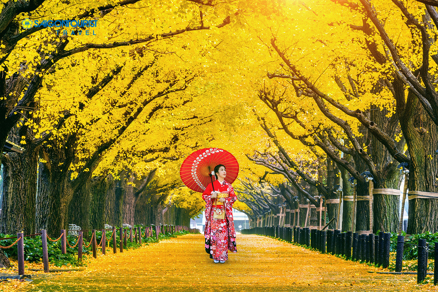 Du lịch Nhật Bản [HÀNH TRÌNH VÀNG] (OSAKA – NARA - KYOTO - FUJI - TOKYO) trải nghiệm mùa thu sắc màu