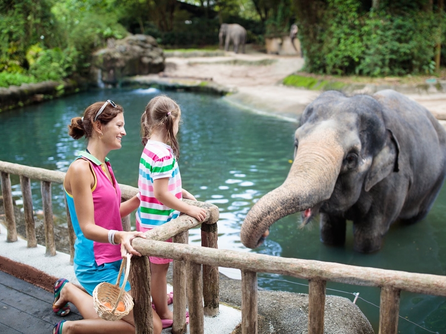 Dịch Vụ Thuê Hướng Dẫn Viên Địa Phương Tiếng Việt - Tiếng Anh tại Singapore